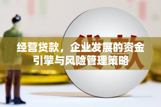 汇川经营贷款，企业发展的资金引擎与风险管理策略
