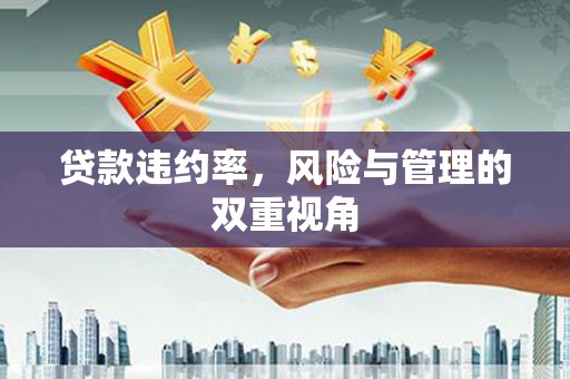 汇川贷款违约率，风险与管理的双重视角