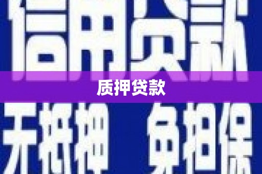 汇川质押贷款