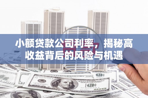 汇川小额贷款公司利率，揭秘高收益背后的风险与机遇