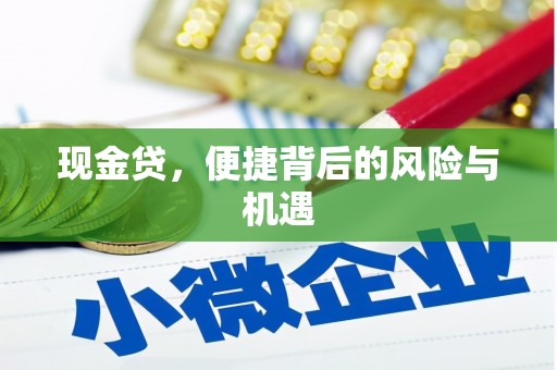汇川现金贷，便捷背后的风险与机遇
