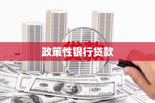 汇川政策性银行贷款