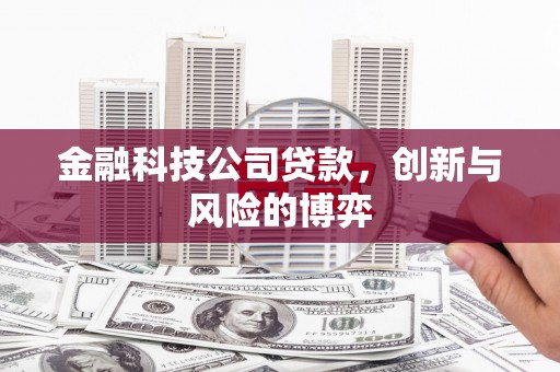 汇川金融科技公司贷款，创新与风险的博弈
