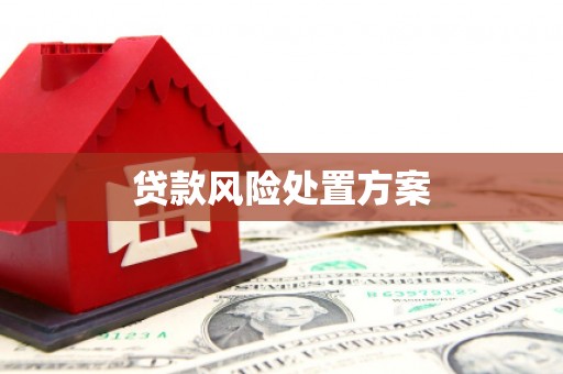 汇川贷款风险处置方案