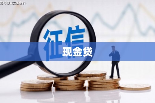 汇川现金贷