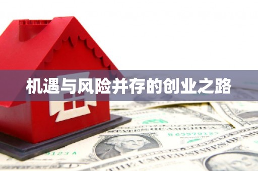 汇川机遇与风险并存的创业之路
