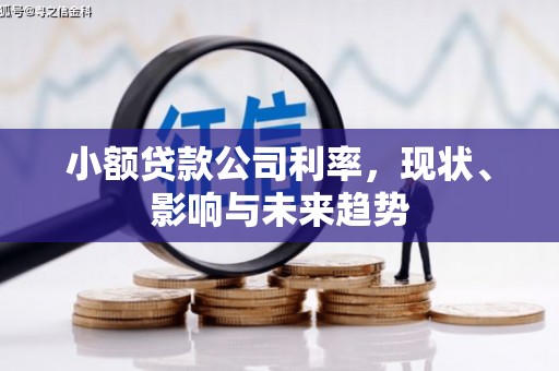 汇川小额贷款公司利率，现状、影响与未来趋势