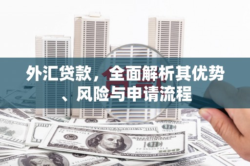 汇川外汇贷款，全面解析其优势、风险与申请流程