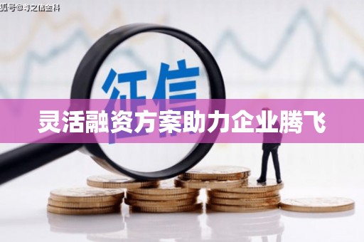 汇川灵活融资方案助力企业腾飞