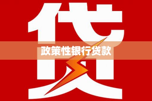 汇川政策性银行贷款