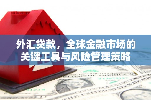 汇川外汇贷款，全球金融市场的关键工具与风险管理策略