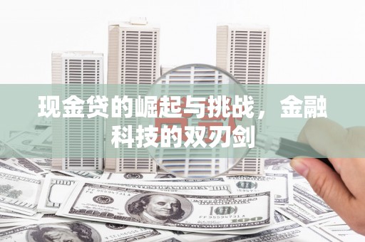 汇川现金贷的崛起与挑战，金融科技的双刃剑