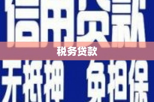 汇川税务贷款