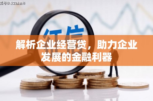 汇川解析企业经营贷，助力企业发展的金融利器