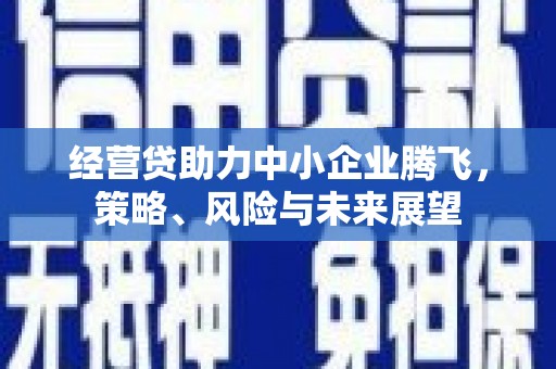 汇川经营贷助力中小企业腾飞，策略、风险与未来展望