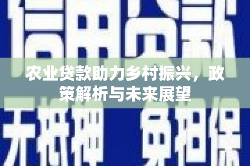 汇川农业贷款助力乡村振兴，政策解析与未来展望