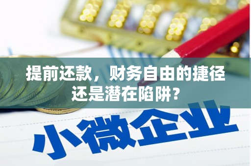 汇川提前还款，财务自由的捷径还是潜在陷阱？