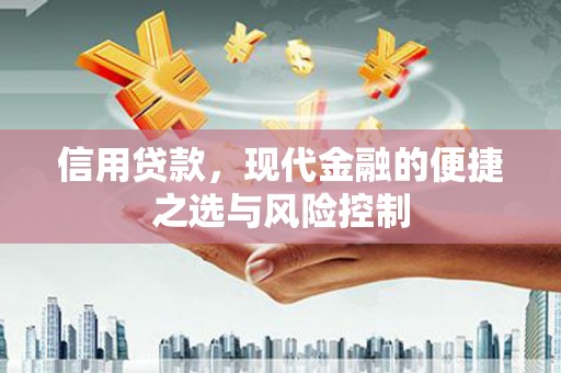 汇川信用贷款，现代金融的便捷之选与风险控制