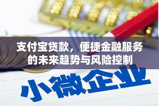 汇川支付宝贷款，便捷金融服务的未来趋势与风险控制