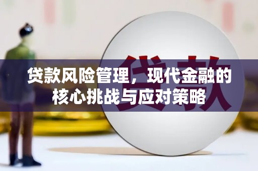 汇川贷款风险管理，现代金融的核心挑战与应对策略