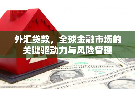 汇川外汇贷款，全球金融市场的关键驱动力与风险管理