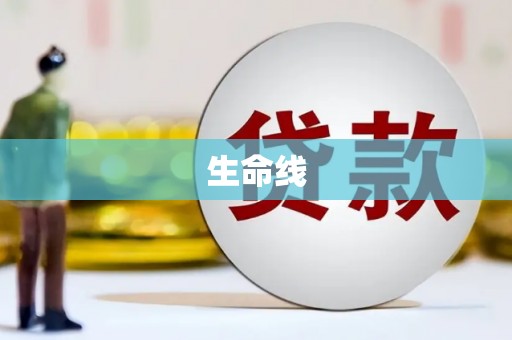 汇川生命线