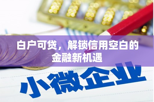 汇川白户可贷，解锁信用空白的金融新机遇