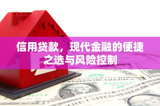 汇川信用贷款，现代金融的便捷之选与风险控制