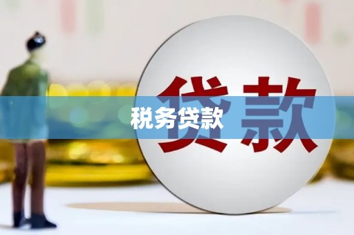 汇川税务贷款