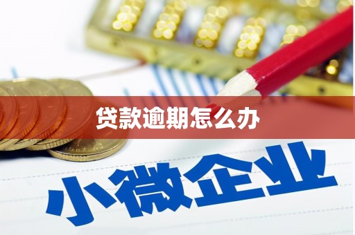 汇川贷款逾期怎么办