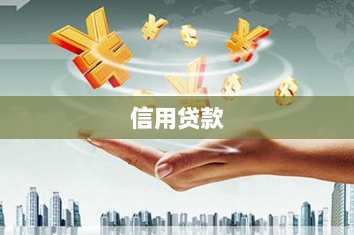 汇川信用贷款