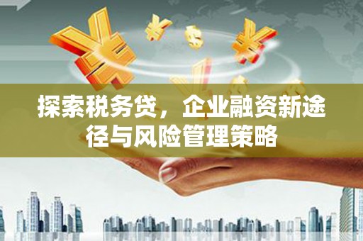 汇川探索税务贷，企业融资新途径与风险管理策略
