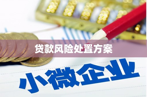 汇川贷款风险处置方案