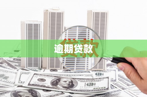 汇川逾期贷款