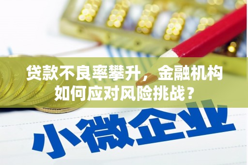 汇川贷款不良率攀升，金融机构如何应对风险挑战？