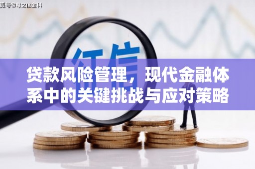 汇川贷款风险管理，现代金融体系中的关键挑战与应对策略