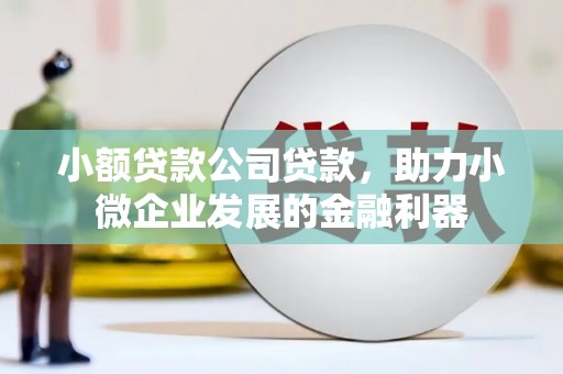 汇川小额贷款公司贷款，助力小微企业发展的金融利器
