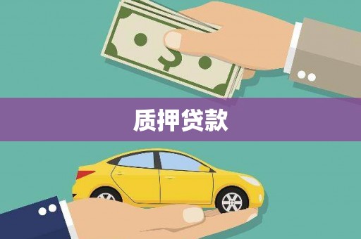 汇川质押贷款