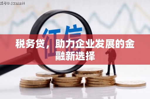汇川税务贷，助力企业发展的金融新选择