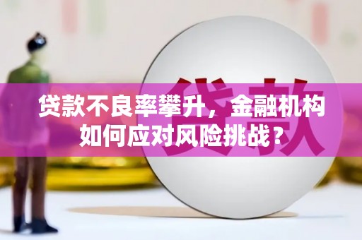汇川贷款不良率攀升，金融机构如何应对风险挑战？