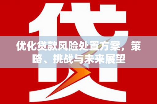 汇川优化贷款风险处置方案，策略、挑战与未来展望