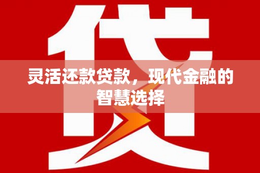 汇川灵活还款贷款，现代金融的智慧选择