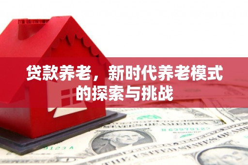 汇川贷款养老，新时代养老模式的探索与挑战