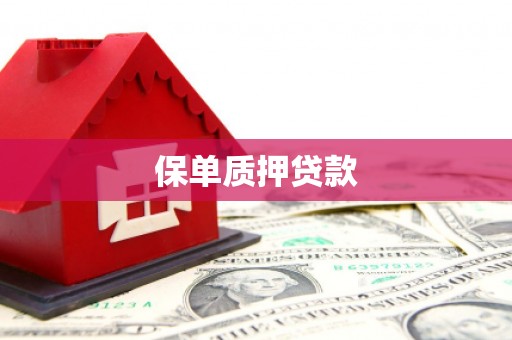 汇川保单质押贷款