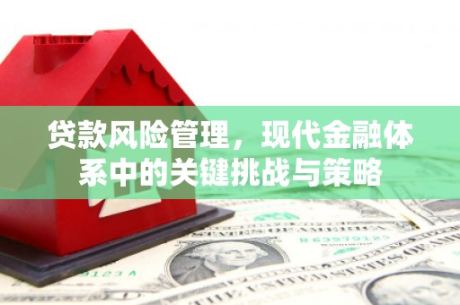 汇川贷款风险管理，现代金融体系中的关键挑战与策略