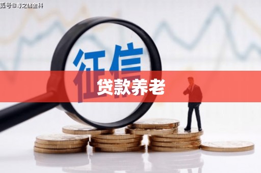 汇川贷款养老