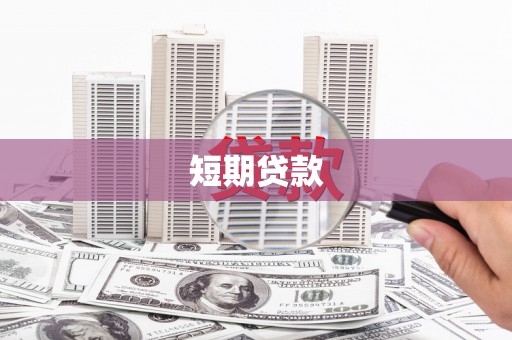 汇川短期贷款