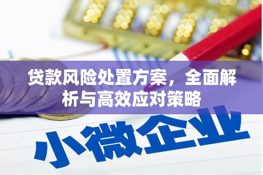 汇川贷款风险处置方案，全面解析与高效应对策略