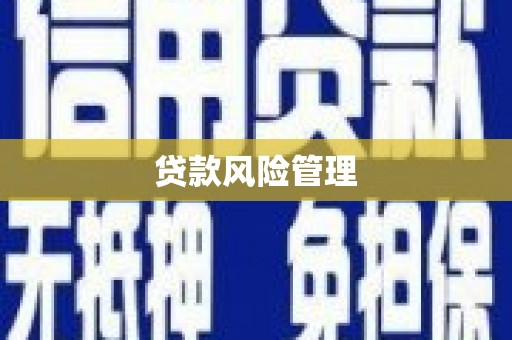 汇川贷款风险管理