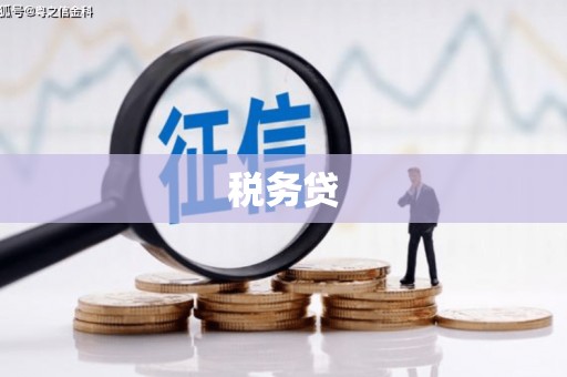 汇川税务贷